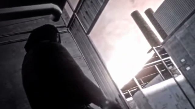 ЭДИТ 😳🤫 #standoff2 #эдит #мувик смотреть онлайн