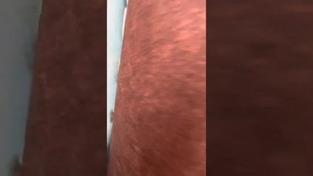 Самый большой рынок тканей в мире. смотреть онлайн