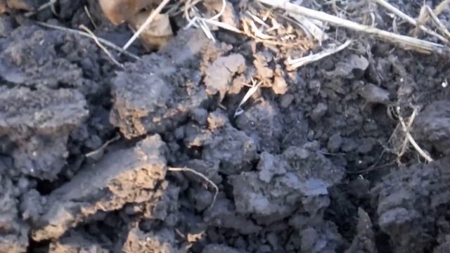 Поиск клада по полям с металлоискателем FISHER смотреть онлайн