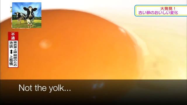 ШОК!!! Вырастили птенца в стакане смотреть онлайн