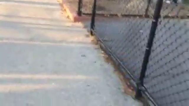 Будущий футболист смотреть онлайн