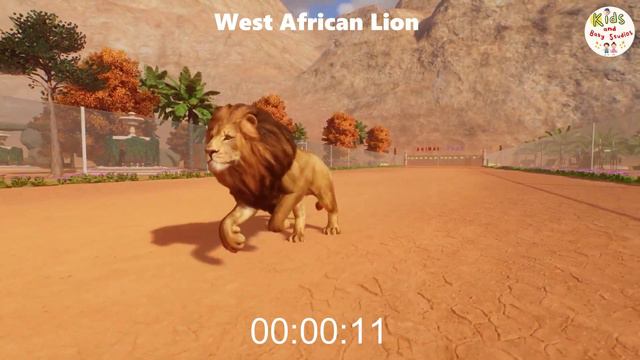ASIAN VS AFRICAN MAMMALS RACES IN PLANET ZOO, BENGAL TIGER, ZEBRA, LION, LEOPARD, GEMSBOK смотреть онлайн
