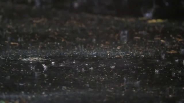 МЕДИТАЦИЯ! Я - ЧАСТЬ ТВОРЦА! 10 10 21 смотреть онлайн