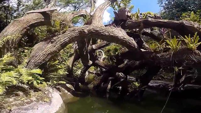 Orchid Stream island, Nha Trang, Vietnam смотреть онлайн
