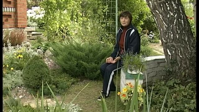 Болотце в ландшафте смотреть онлайн