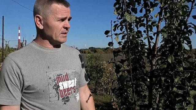 Что это на сливе и как с этим бороться... смотреть онлайн