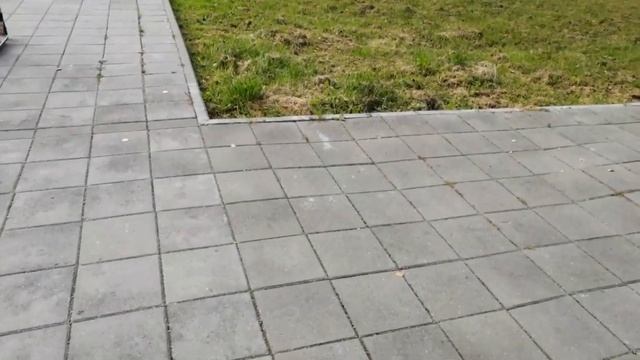 Играем в скут смотреть онлайн