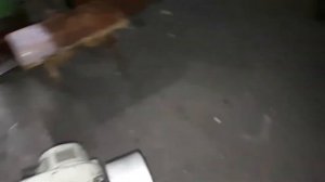 Мотокультиватор Крот заводская сборка.