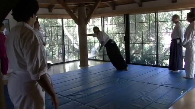 How Aikido Works смотреть онлайн