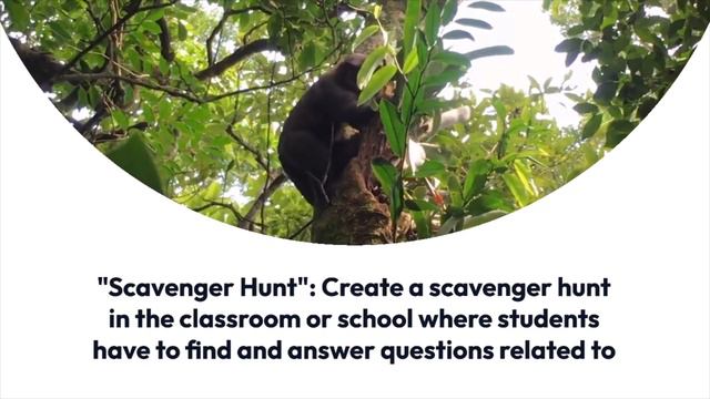 10 Fun and Interactive Classroom Activities to Engage and Inspire Students смотреть онлайн