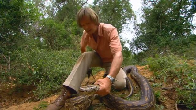 AUSTIN STEVENS VERSUS BIG PYTHON. FIND OUT WHO WINS смотреть онлайн