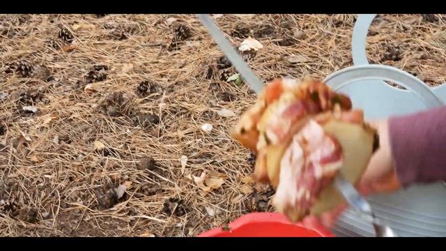 Сочный шашлык из картошки с салом по-деревенски / Еда у Костра смотреть онлайн