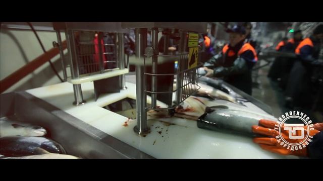 головоотсечение головоруб ручной смотреть онлайн