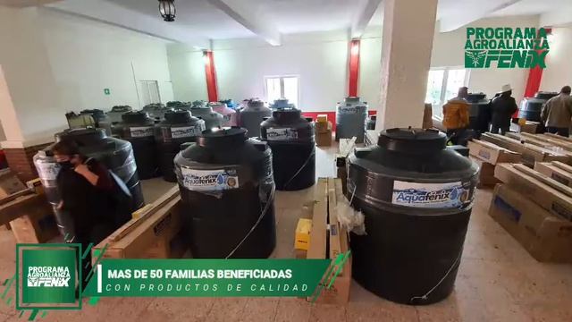 Programa de Apoyos Agroalianza Fenix en el Municipio de Metzquititlan , Hgo смотреть онлайн
