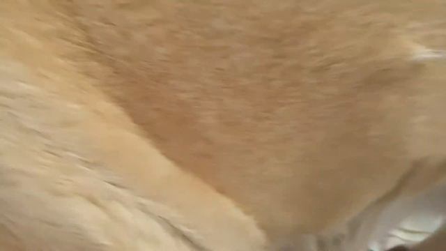 Приходящий папа... Очень заботливый отец оказывается смотреть онлайн
