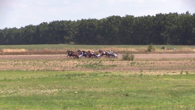 Кубок губернатора Воронежской области. 25 августа 2019 г. Воронежский ипподром MVI 0052 смотреть онлайн