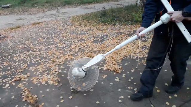 Листья жёлтые.