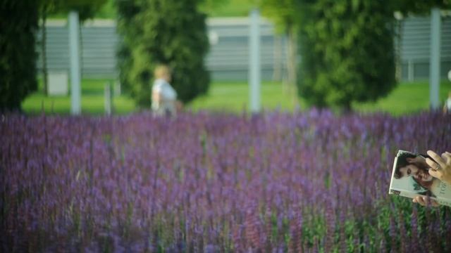 Nikon1 + Meteor-5-1 смотреть онлайн