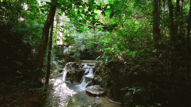 Yanomami Tribe in the Amazon jungle in Brazil | The Mystery Behind the Use of Sticks! смотреть онлайн