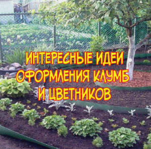 Интересные идеи оформления клумб и цветников