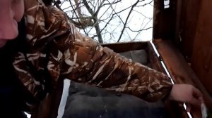 Зимовка нуклеусов