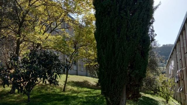 Молитва о мире смотреть онлайн