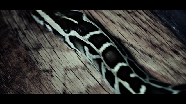 ПолСтака - Ниже уровня земли (GADKIY FILMS) смотреть онлайн