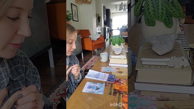 been a while ☆ Pick a Pile #oracle #oraclecards #oraclereading #cardreading #pickapile pickap смотреть онлайн