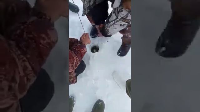 хорошая щука Г. Кокшетау, оз. Копа, 14.02.2021, 6кг. смотреть онлайн