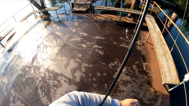 РЫБАЛКА С ПИРСА НА МАЛОМ ПОТЕМКИНСКОМ смотреть онлайн