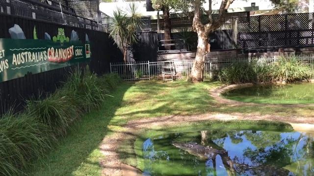 Eric's Nature Walk - Australian Reptile Park смотреть онлайн
