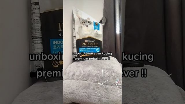 Proplan Urinary vs Proplan Kitten смотреть онлайн