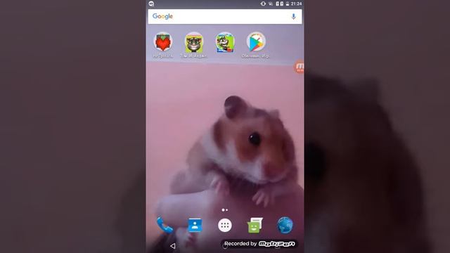 Моё первое видео смешное имя хомяка смотреть онлайн