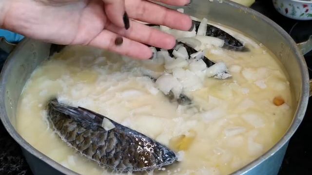 Дизайн и Разработка Веб-сайтов