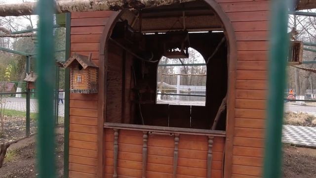 Как снимать белок: ставьте камеру, ждите... :) / How to film squirrels: turn the cam on, wait.... смотреть онлайн