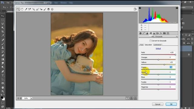 Professional Authentic Portrait Tone | Camera Raw Preset | Color Grading Photoshop Tutorial смотреть онлайн