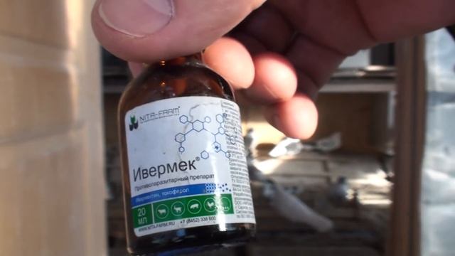 Ивермек обработка голубей от блох, клещей и перо пухоедов. Олег Костяков. смотреть онлайн
