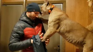 Как Месси уговаривает папу.