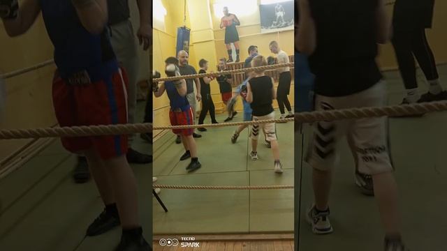 Тренировка от 18.01.2023.г.Мурманск Бокс смотреть онлайн