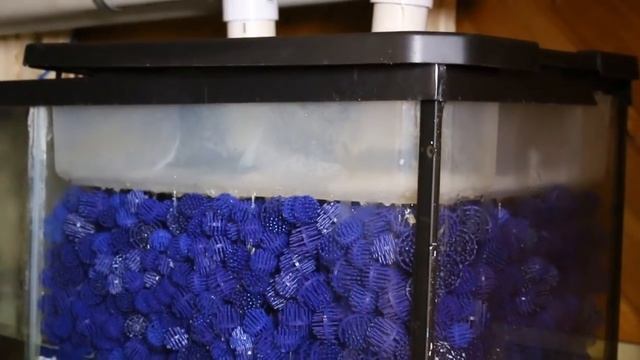 HOW TO: Build a plywood aquarium | Part 6 | FINAL TUTORIAL смотреть онлайн