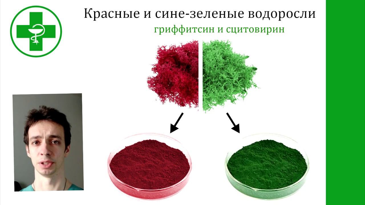 ВИРУСНЫЙ ГЕПАТИТ С: народные средства. смотреть онлайн