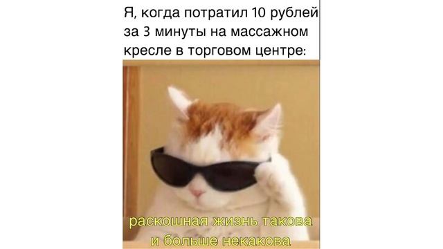 Забыл голову дома) Приколы с котами | Мемозг 591 смотреть онлайн