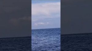 Красота ладожского озера