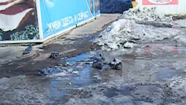 Голуби купаются в луже весной или Живи здесь и сейчас. смотреть онлайн