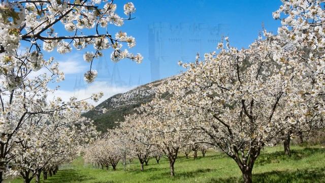 Castilla y Leon - Spain смотреть онлайн
