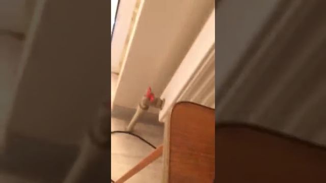 Поилка индивидуальная для КРС и лошадей смотреть онлайн