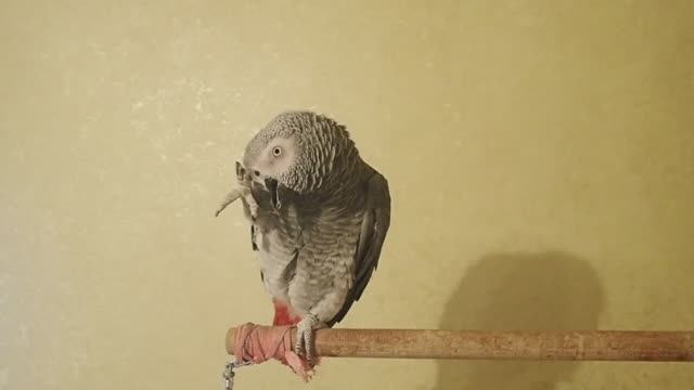 HELP! ;))