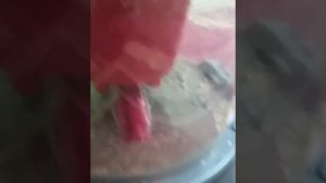 Моющий пылесос с аквафильтром Arnica Hydra Rain Plus, отзыв от покупателя