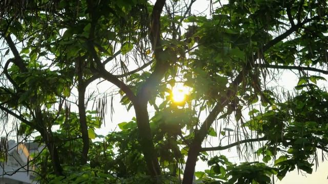 Расслабляющая музыка для сна, медитации и борьбы со стрессом Flying от Peder B. Helland relax смотреть онлайн