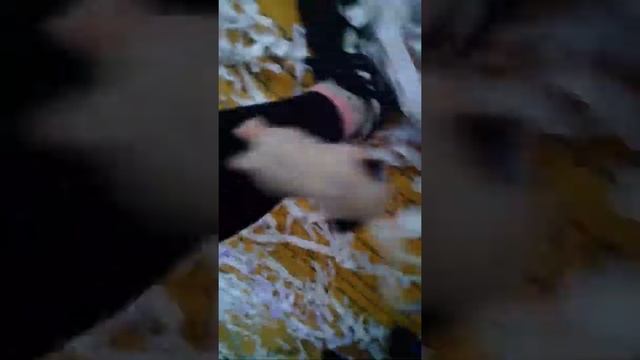 Детский праздник под названием Город чудес ч.о. смотреть онлайн